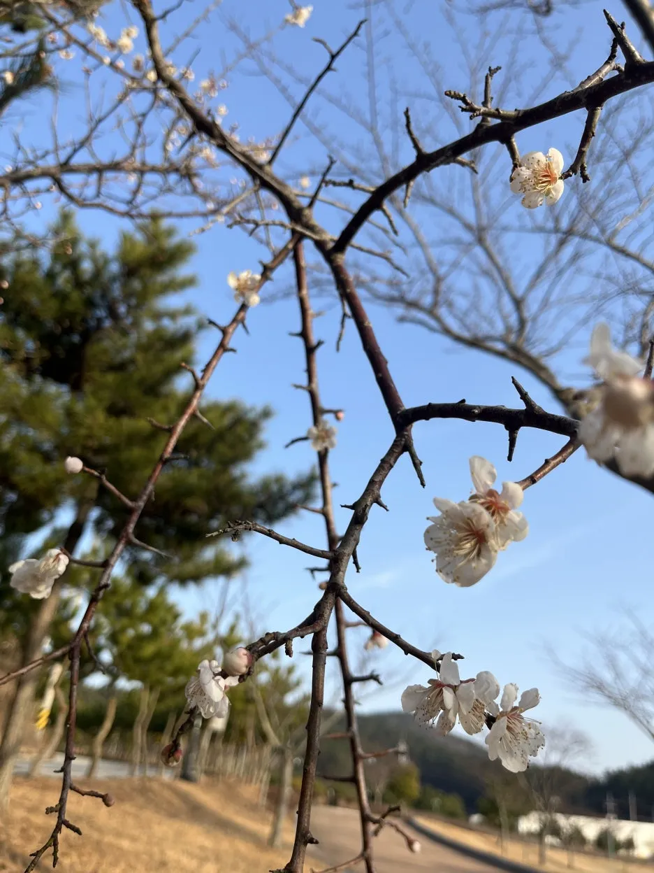 KakaoTalk_20260304_203846424_04.jpg?type=w1