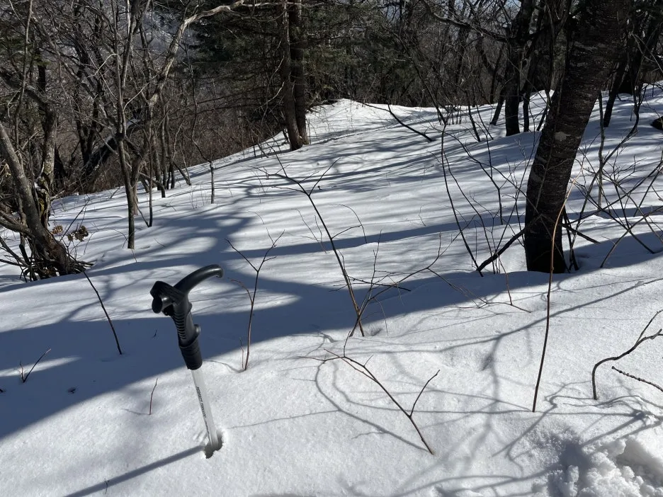 KakaoTalk_20260220_130857288_22.jpg?type=w1