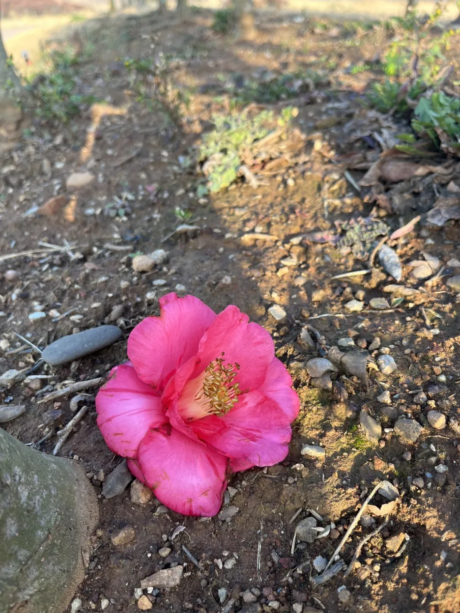 KakaoTalk_20260308_094431171_08.jpg?type=w1