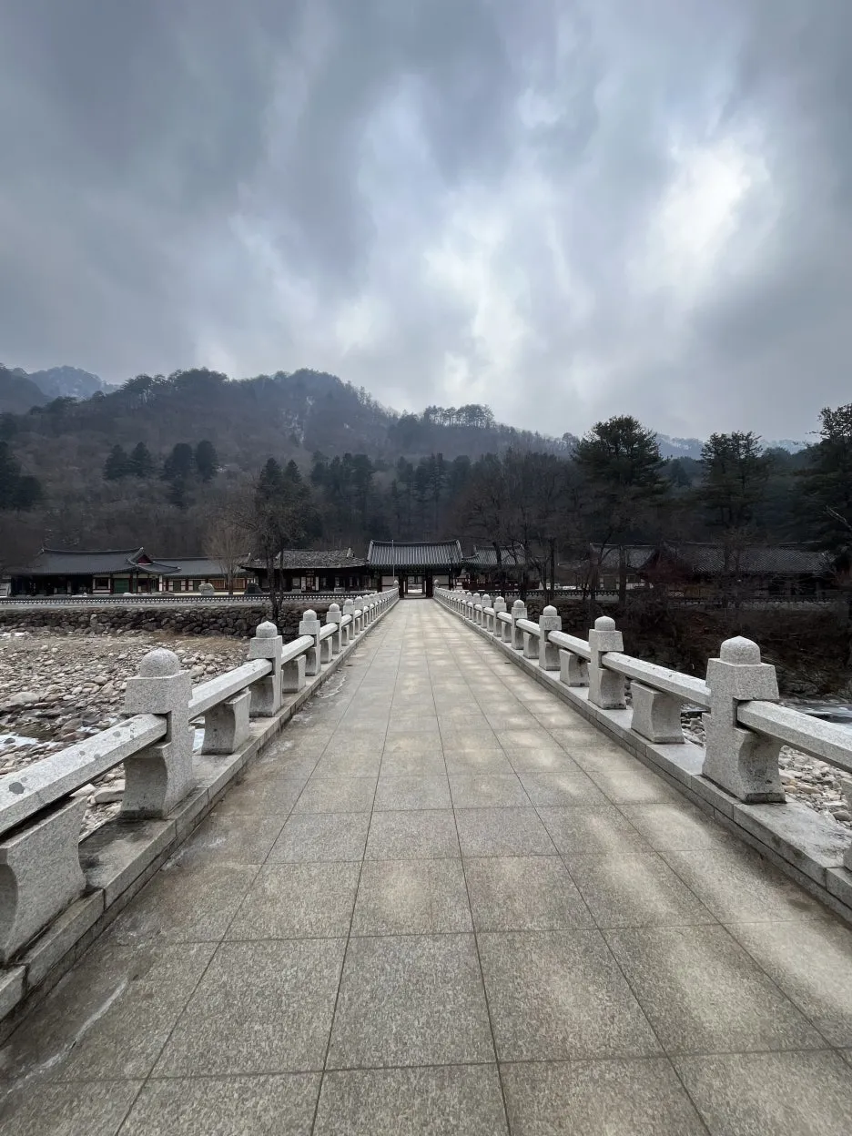 KakaoTalk_20260218_212726928_13.jpg?type=w1