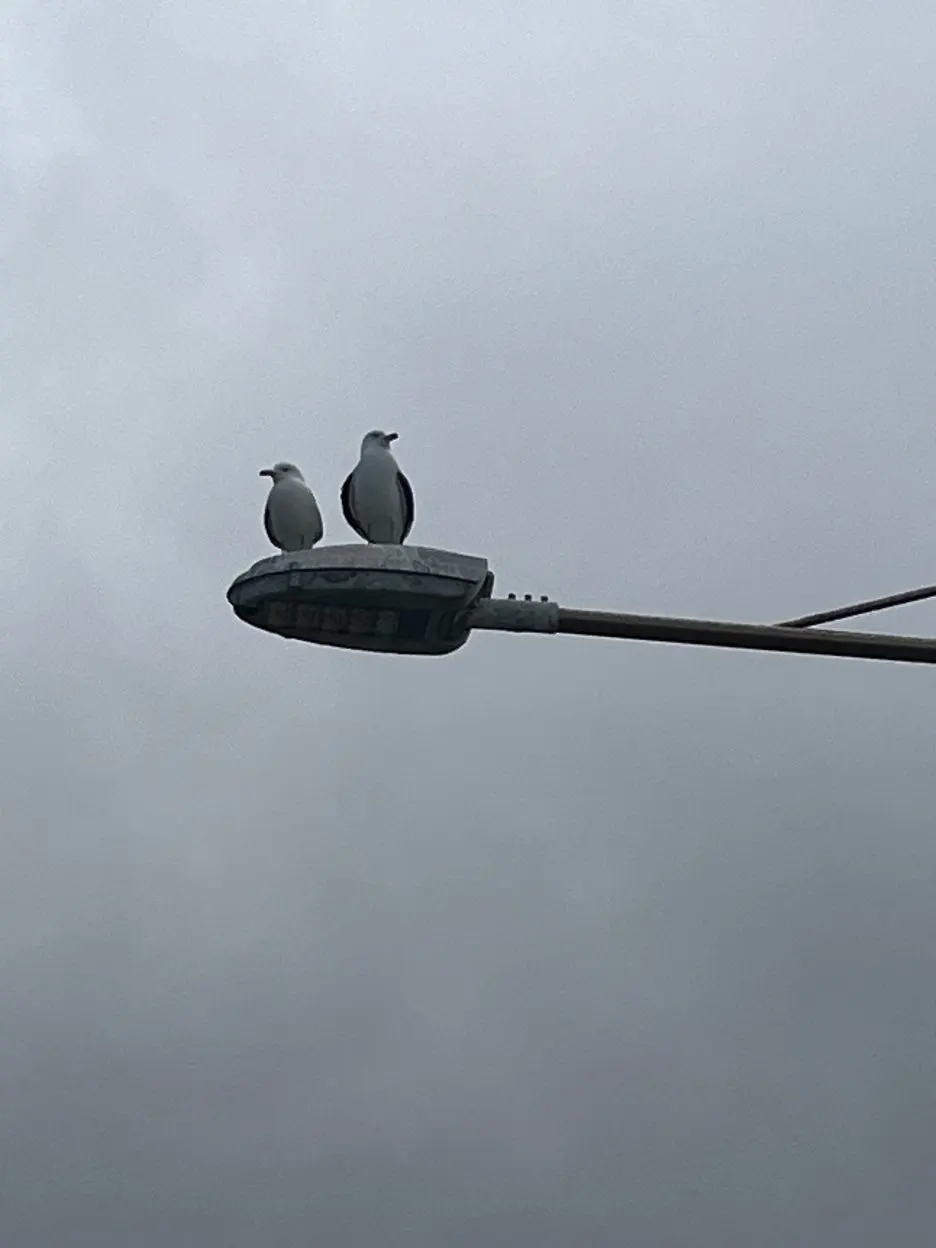 KakaoTalk_20260303_195514579_14.jpg?type=w1