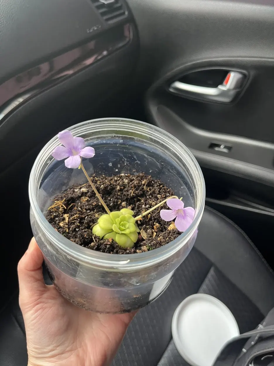 KakaoTalk_20260303_195318010.jpg?type=w1