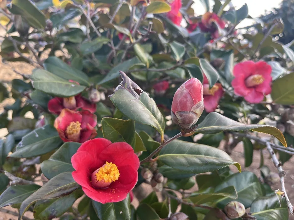 KakaoTalk_20260304_203846424_16.jpg?type=w1