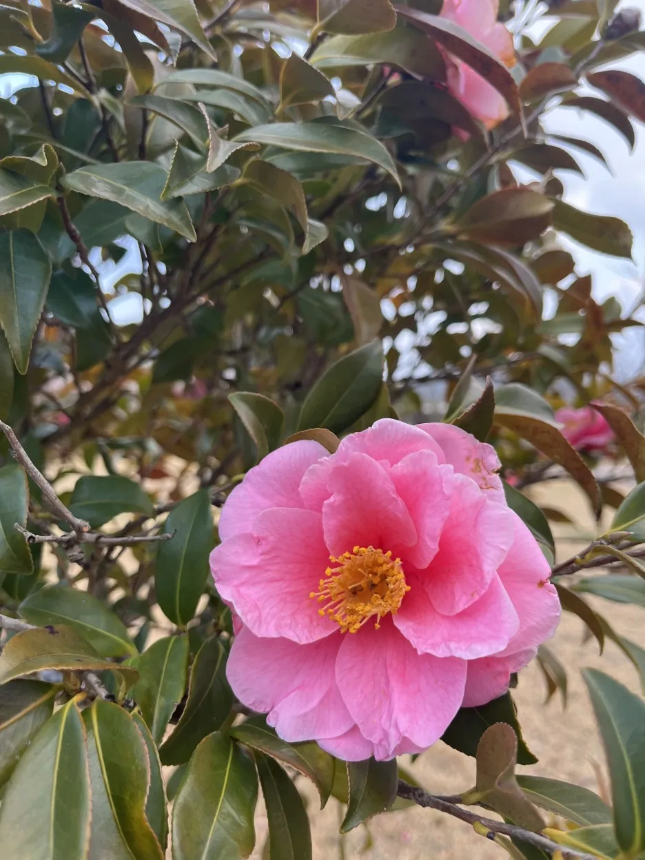 KakaoTalk_20260306_214130335_17.jpg?type=w1