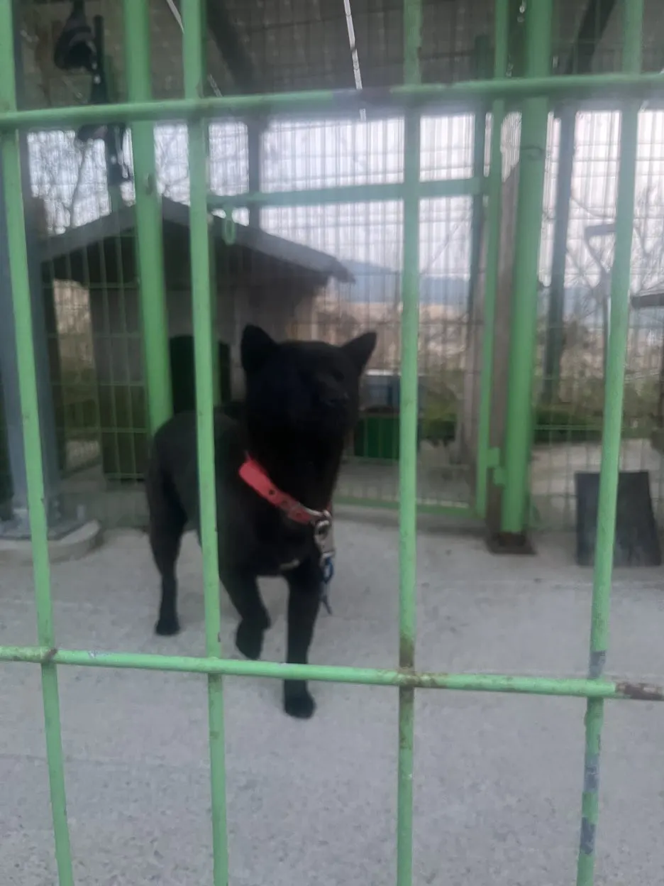 KakaoTalk_20260319_194518214_01.jpg?type=w1