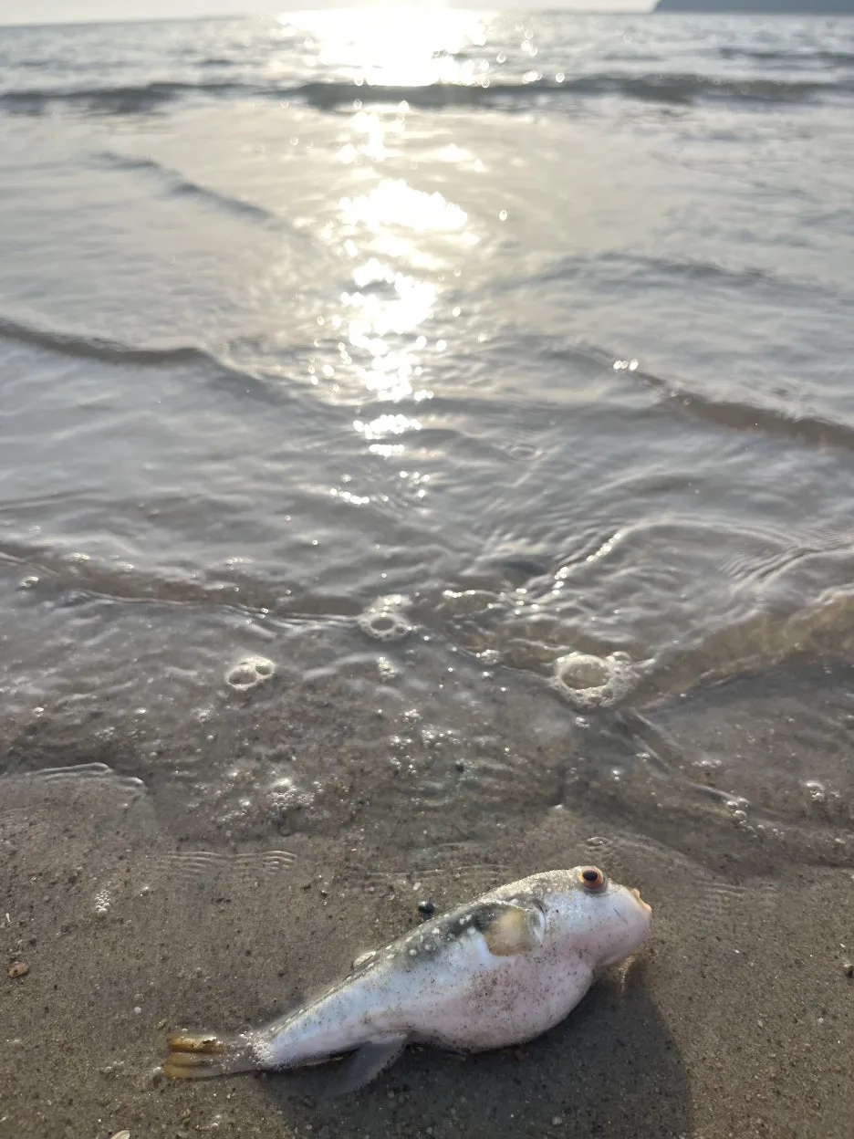 KakaoTalk_20260401_215218708.jpg?type=w1