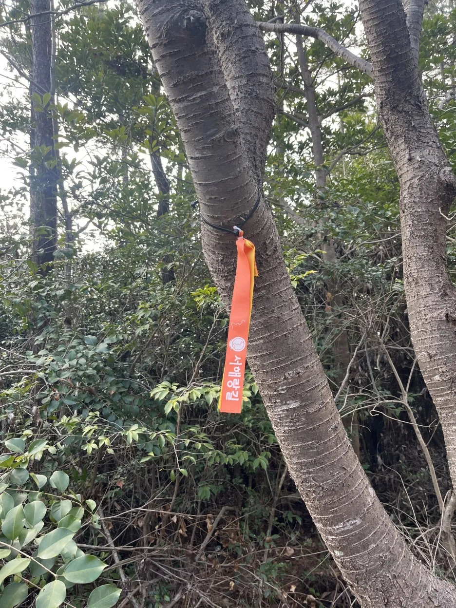 KakaoTalk_20260306_214130335_11.jpg?type=w1