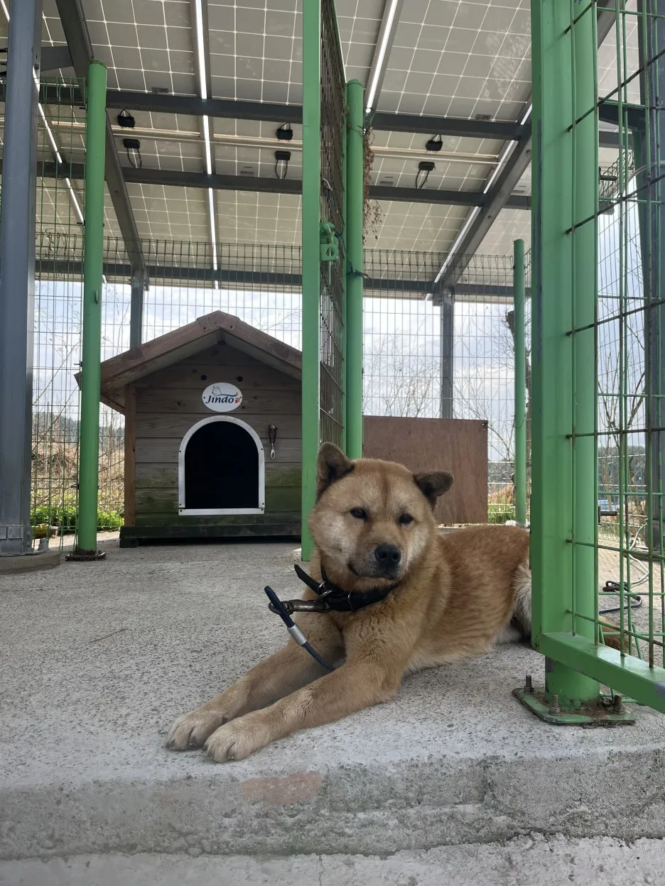 KakaoTalk_20260305_220427071_04.jpg?type=w1