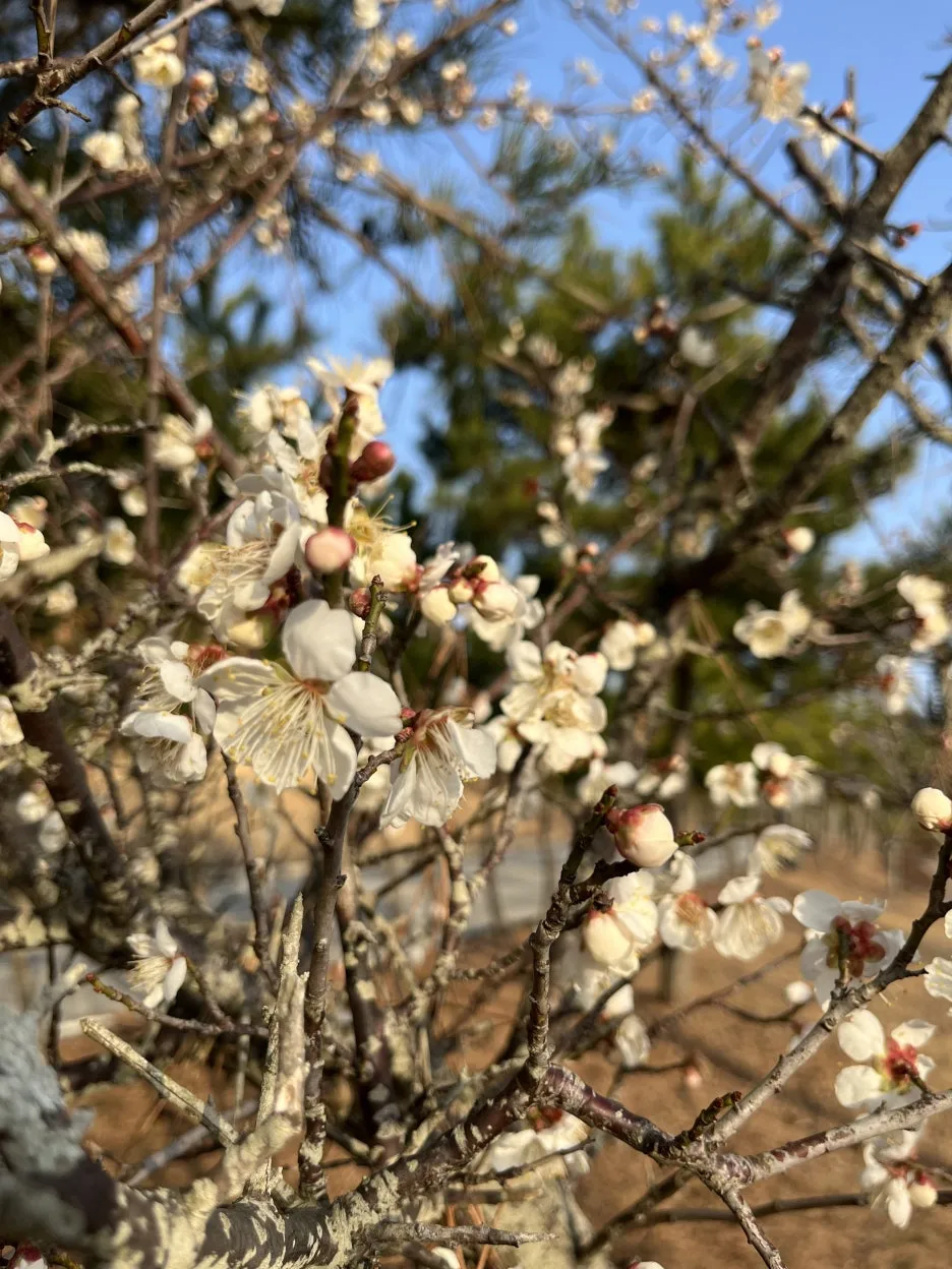 KakaoTalk_20260304_203846424_05.jpg?type=w1