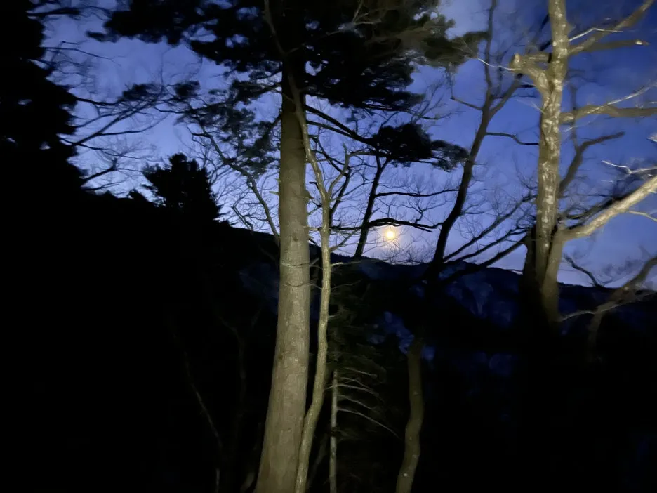 KakaoTalk_20260220_124805249_01.jpg?type=w1