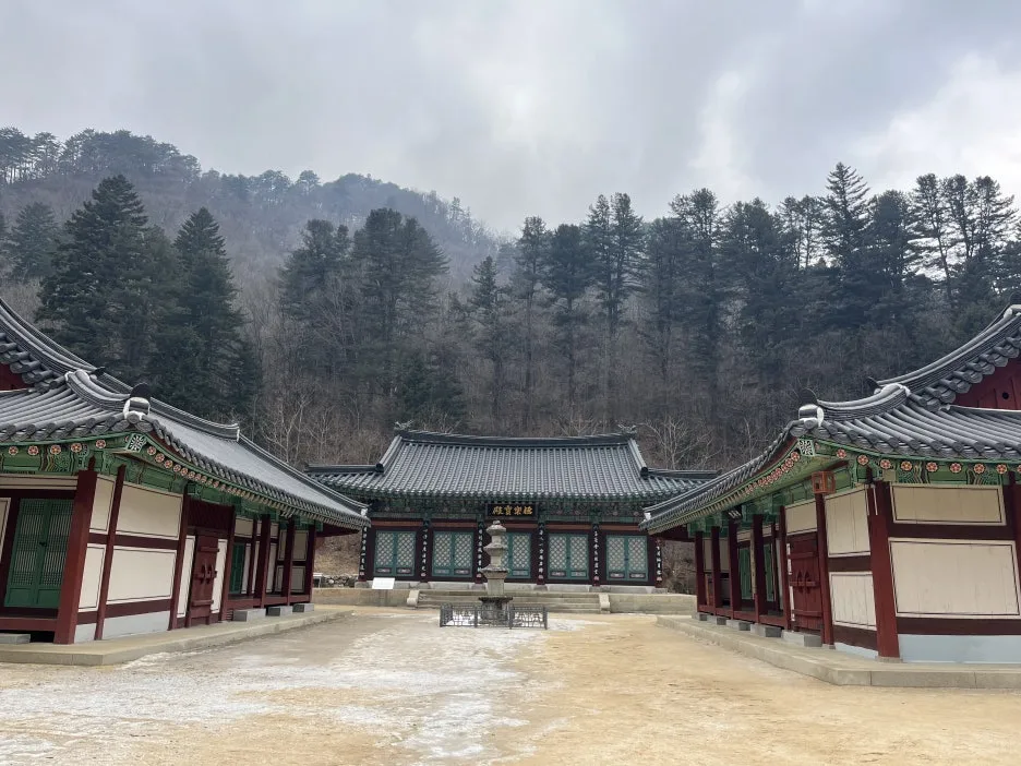 KakaoTalk_20260218_212726928_10.jpg?type=w1