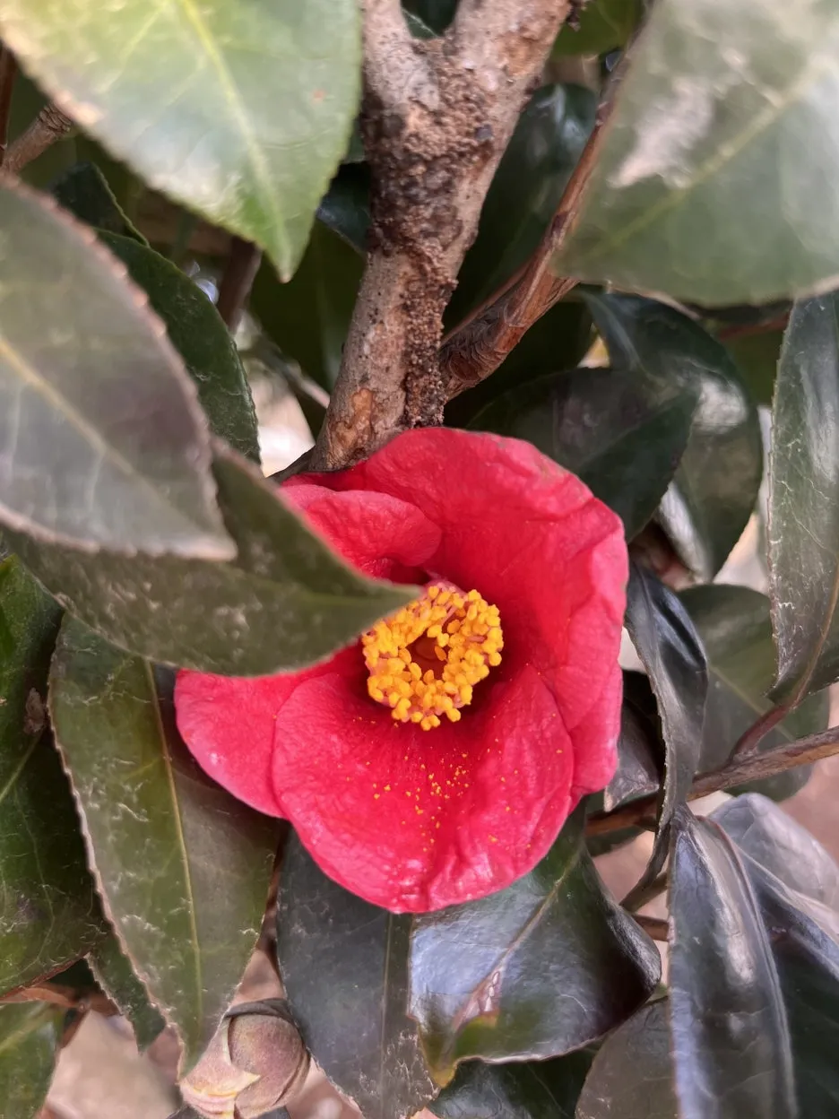 KakaoTalk_20260308_094431171_07.jpg?type=w1