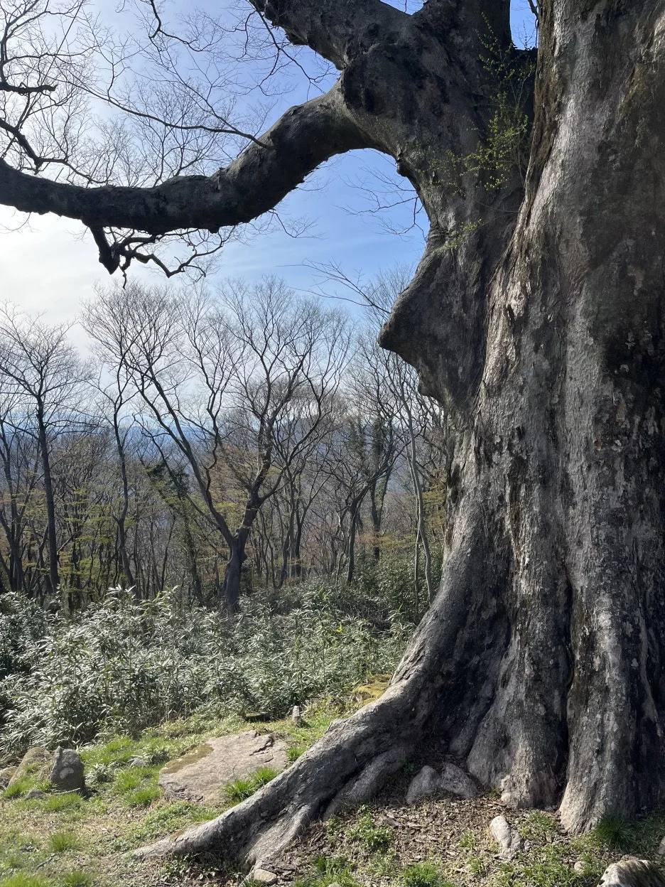 KakaoTalk_20260408_233130747.jpg?type=w1