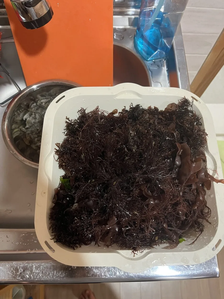 KakaoTalk_20260403_213346555_03.jpg?type=w1