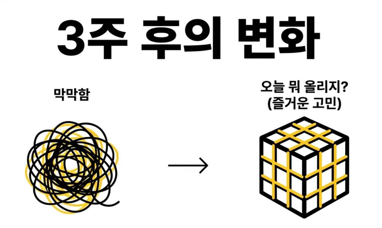863f07119ab82.png?w=1920