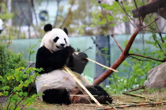 img.jpg?credential=yqXZFxpELC7KVnFOS48ylbz2pIh7yKj8&expires=1774969199&allow_ip=&allow_referer=&signature=HBtZ%2FsjvIcibRP5I7%2BbeHzaWzkQ%3D