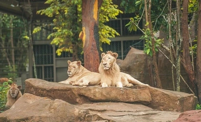 img.webp?credential=yqXZFxpELC7KVnFOS48ylbz2pIh7yKj8&expires=1774969199&allow_ip=&allow_referer=&signature=qzxv6iDB5LteltxCVkvBzqCED14%3D