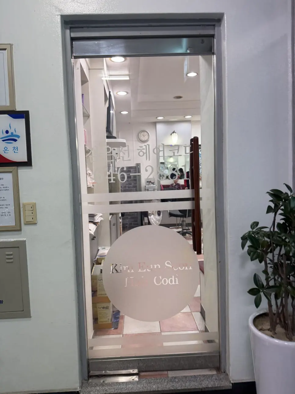 IMG_0909.JPG?type=w966