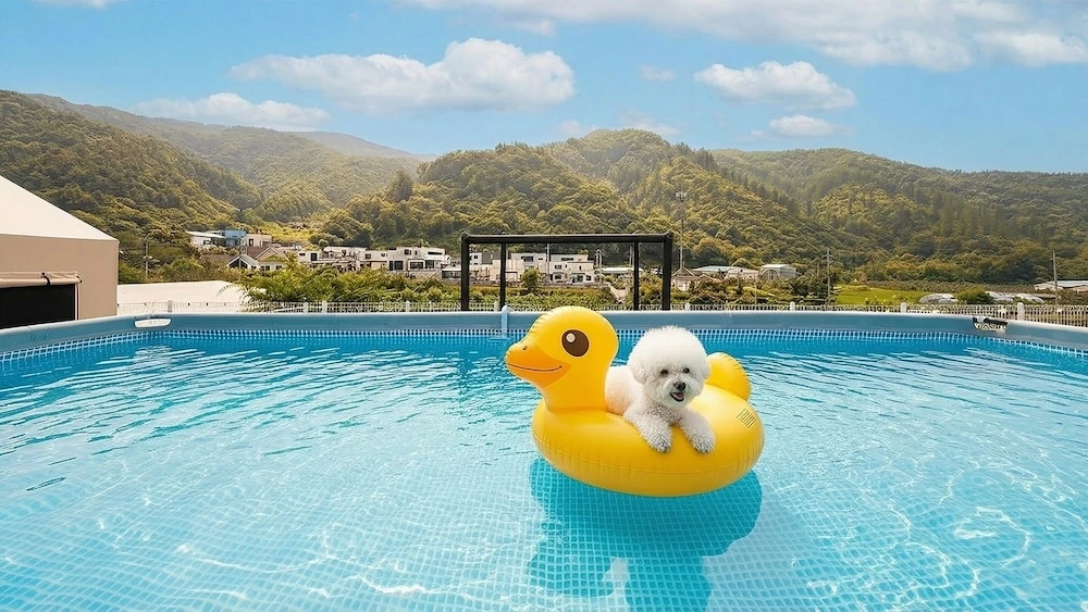 가평애견동반글램핑_또바기 애견동반 글램핑 펜션_14.JPG