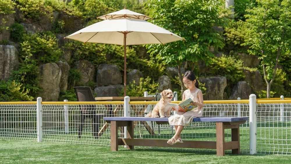 가평애견동반글램핑_가평 하이몽 애견 키즈 풀빌라 펜션_32.JPG