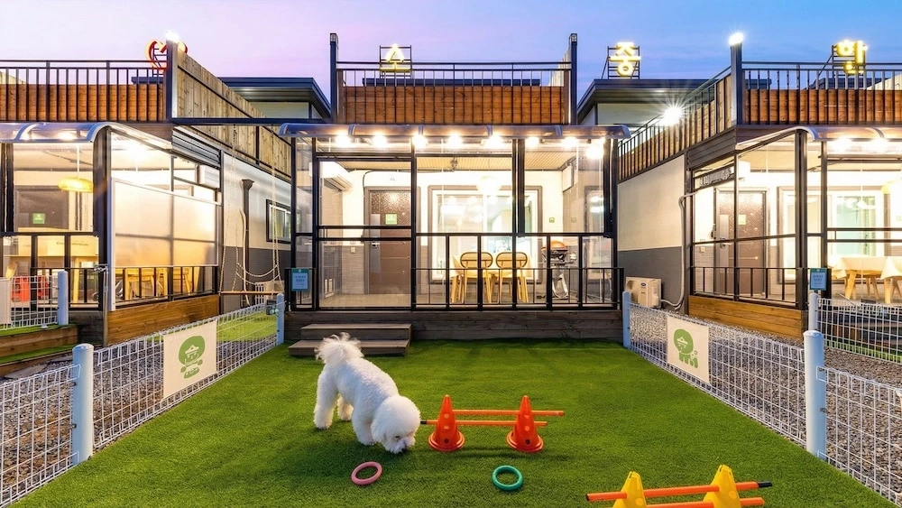 가평애견동반글램핑_가평 댕댕이 애견 독채 펜션 퍼플_1.JPG