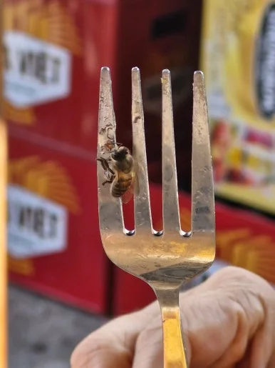 900%EF%BC%BF1768914998503.jpg?type=w386