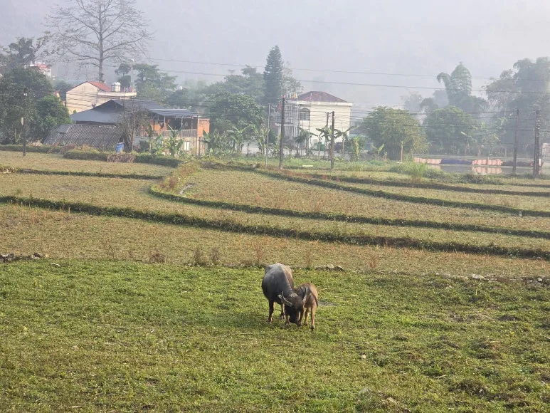 20260113_080109.jpg?type=w773