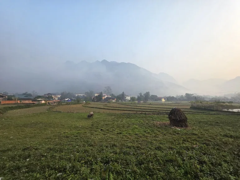 20260113_080055.jpg?type=w773