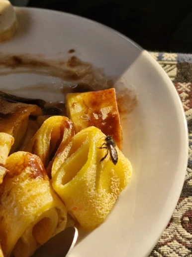 900%EF%BC%BF1768914998470.jpg?type=w386