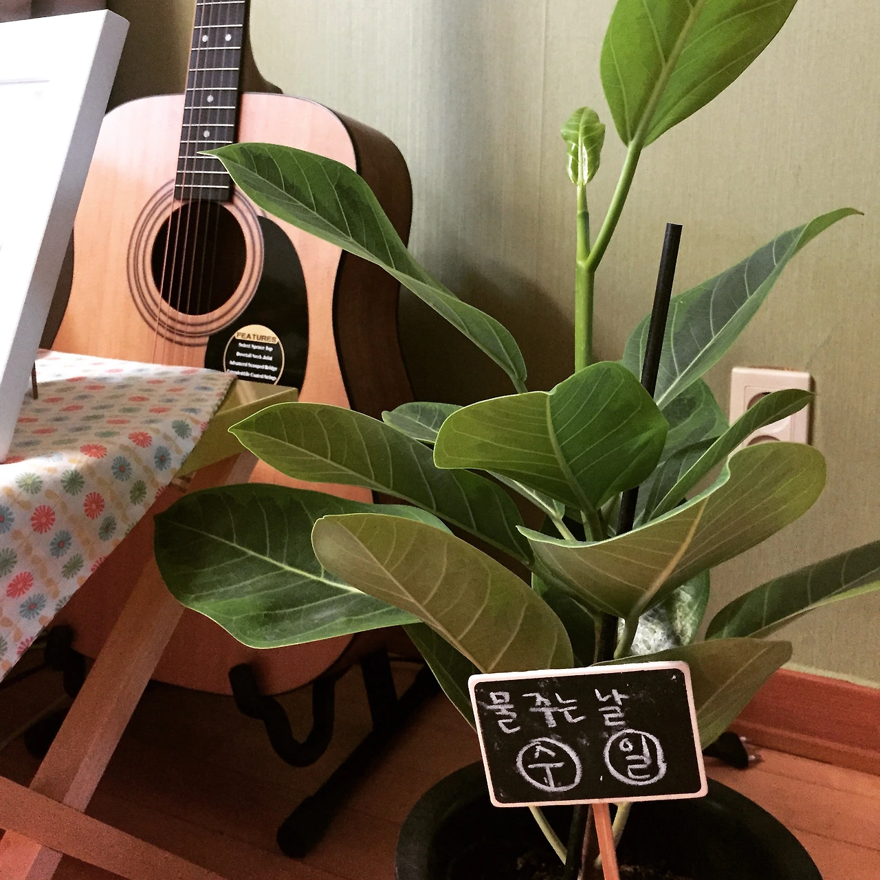 2015-04-13 08.18.36-1.jpg