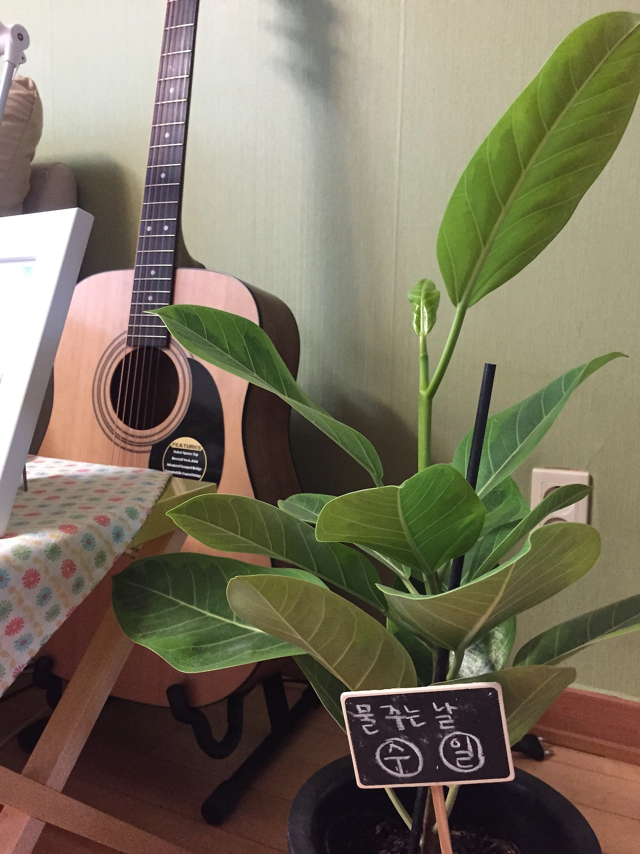 2015-04-13 08.18.36-2.jpg