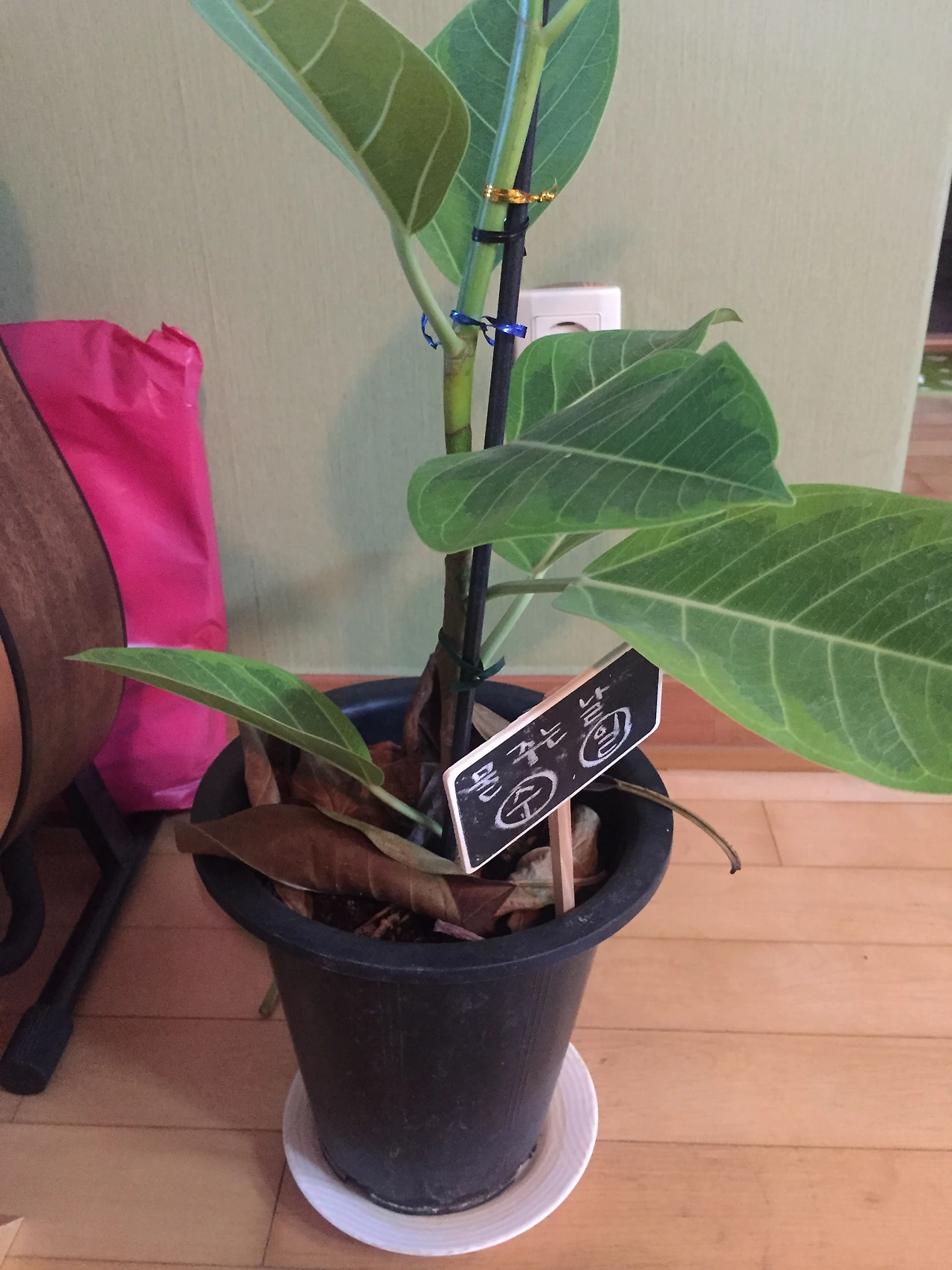 2015-05-21 19.04.39.jpg