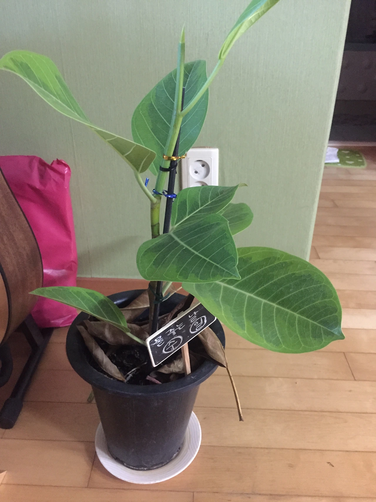 2015-05-21 19.04.56.jpg