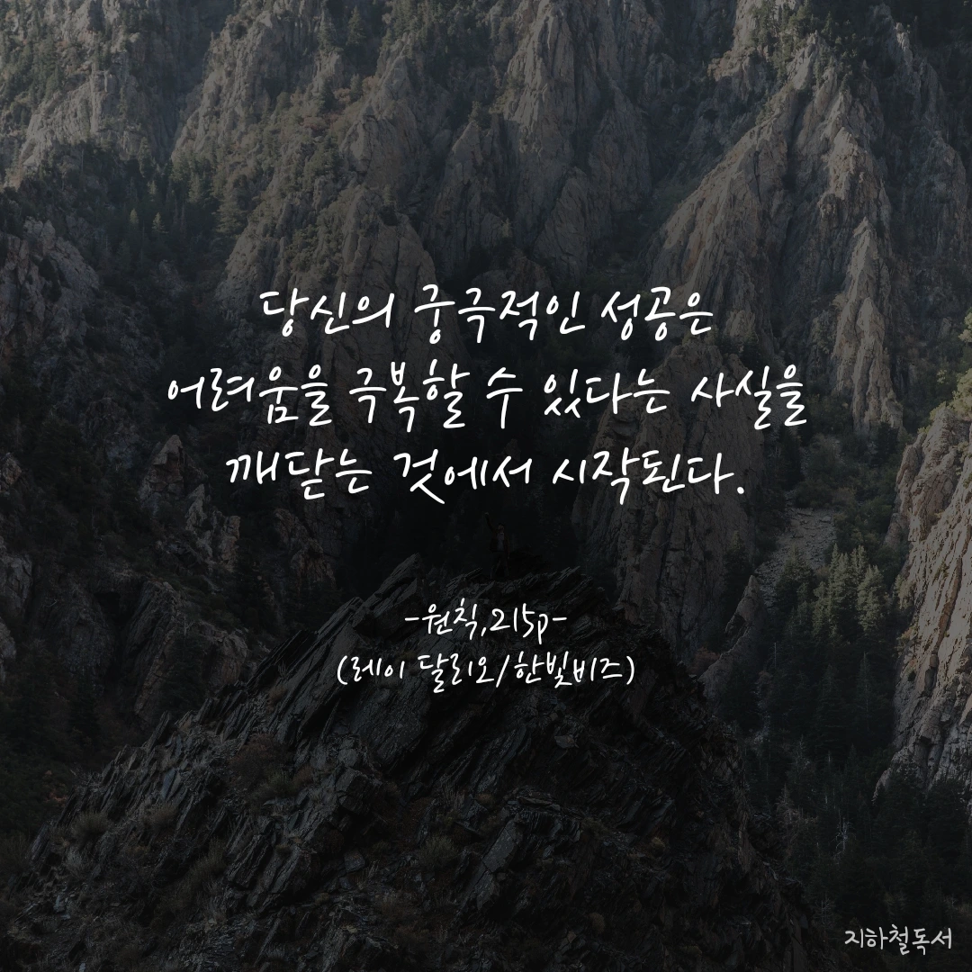 내 의지