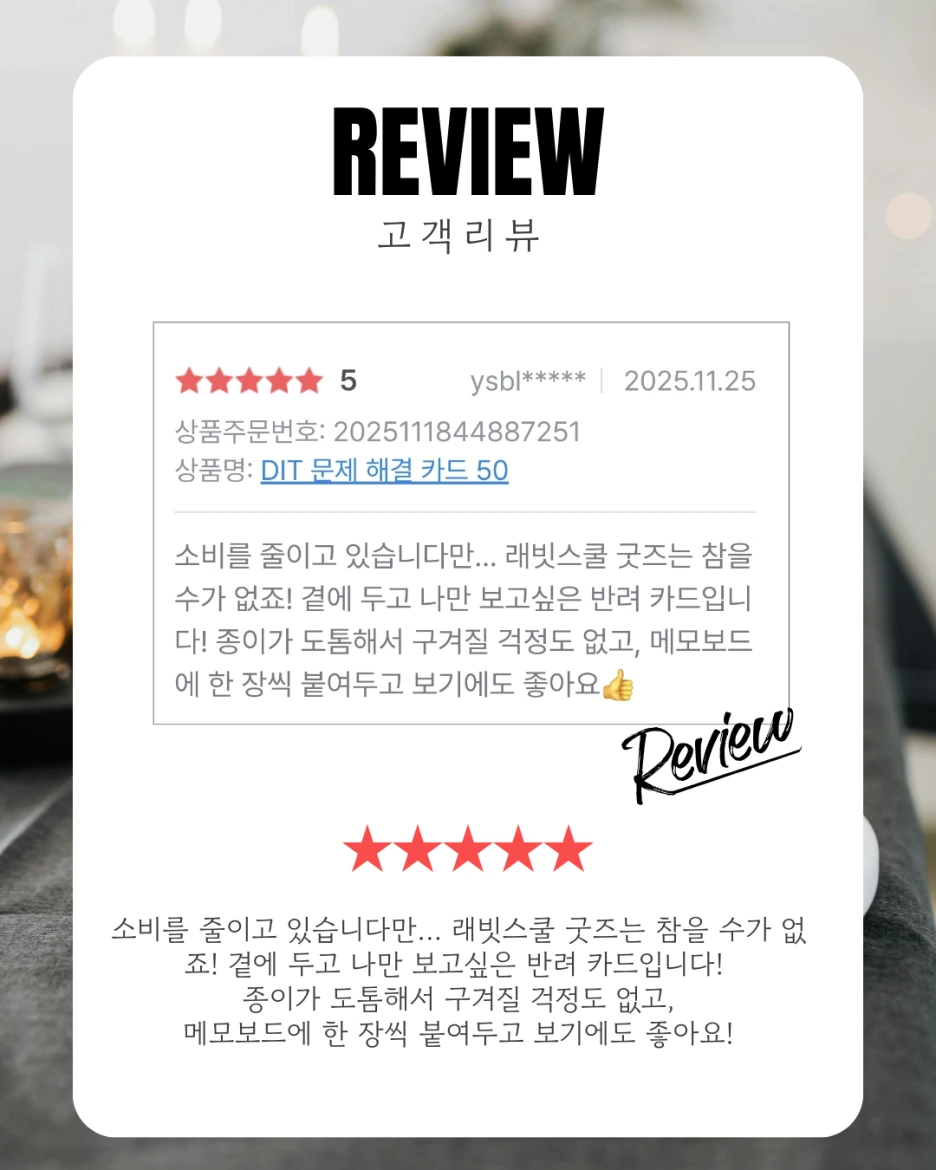 입문자를 위한 최고의 도구, DIT 카드 리뷰