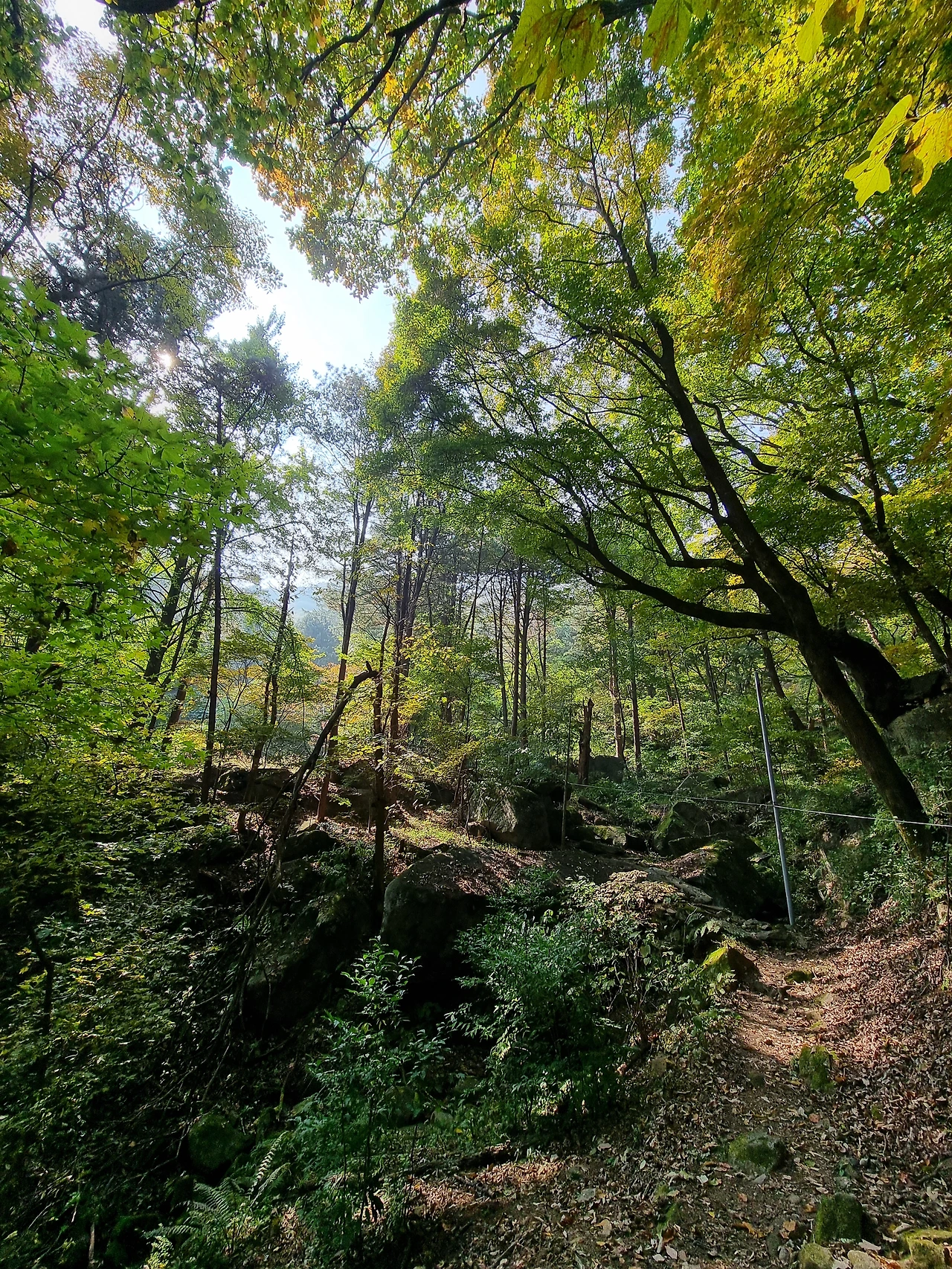 큰 산