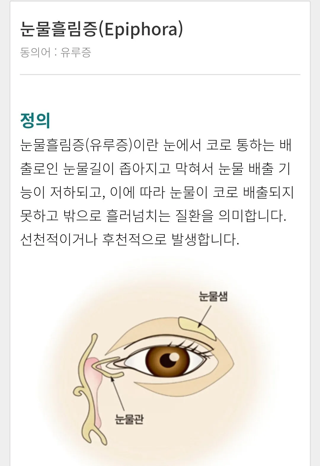 나는 가끔 눈물을 흘린다