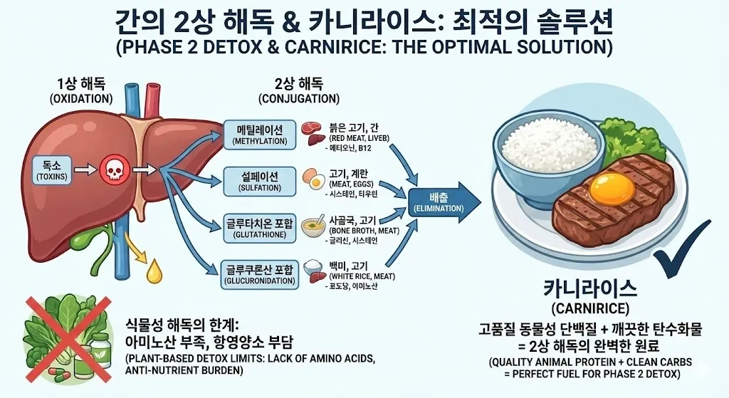 간에 좋은 음식, 간에 좋은 식단 그리고 영양제