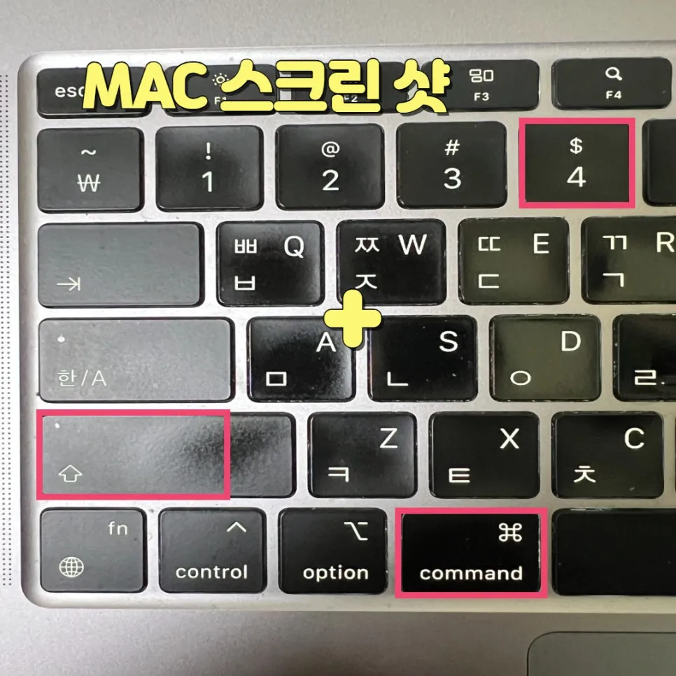 손톱만큼 작은 내 사명의 크기