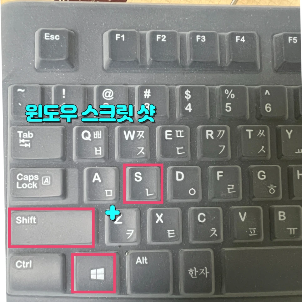 손톱만큼 작은 내 사명의 크기