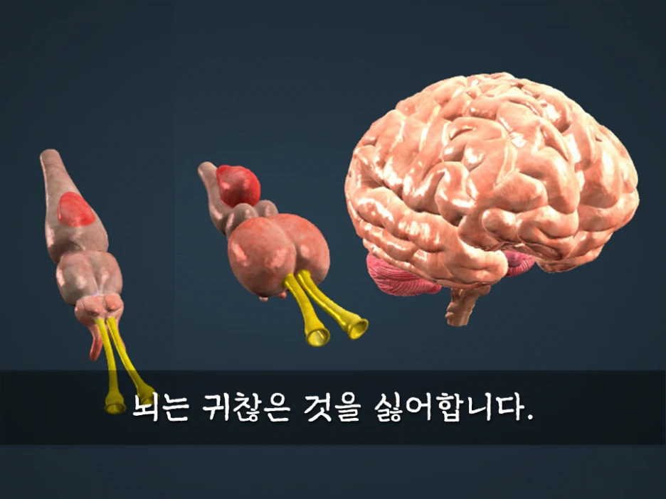 觀 - 몸에서 떠오르기