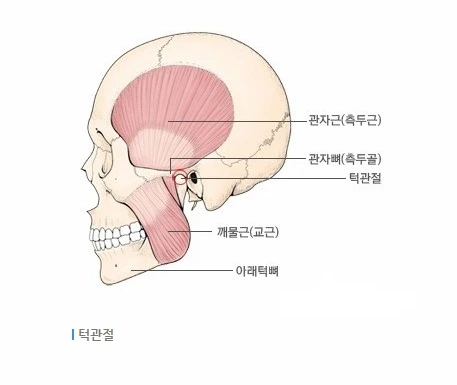 턱 통증 치료 : 턱관절장애 증상 알아봅시다.