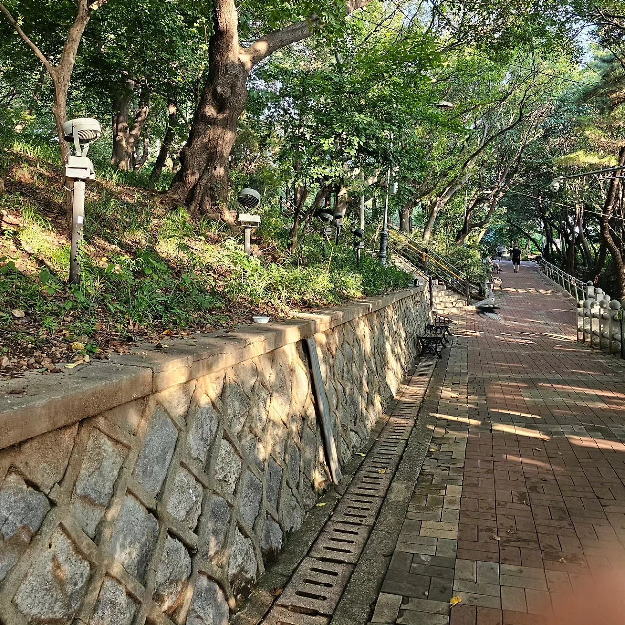 길