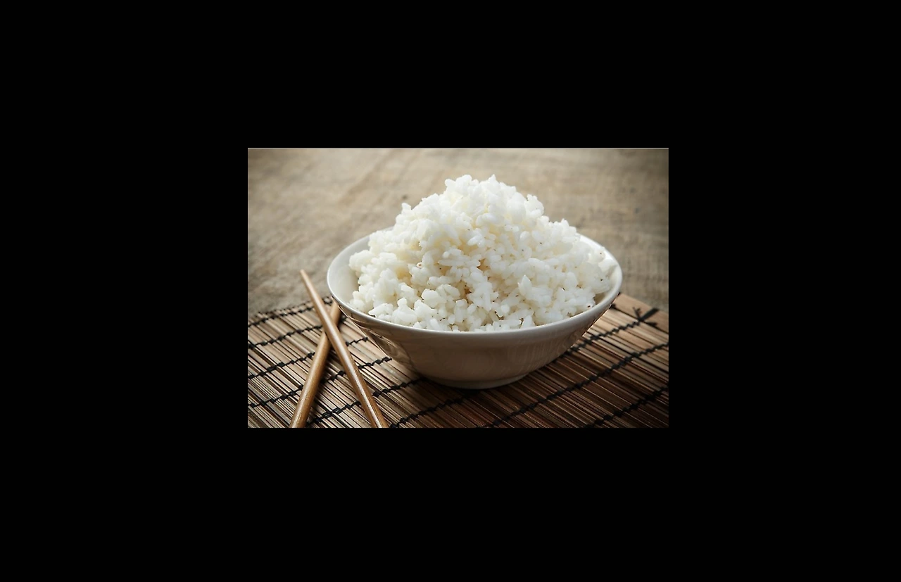 된밥과 진밥