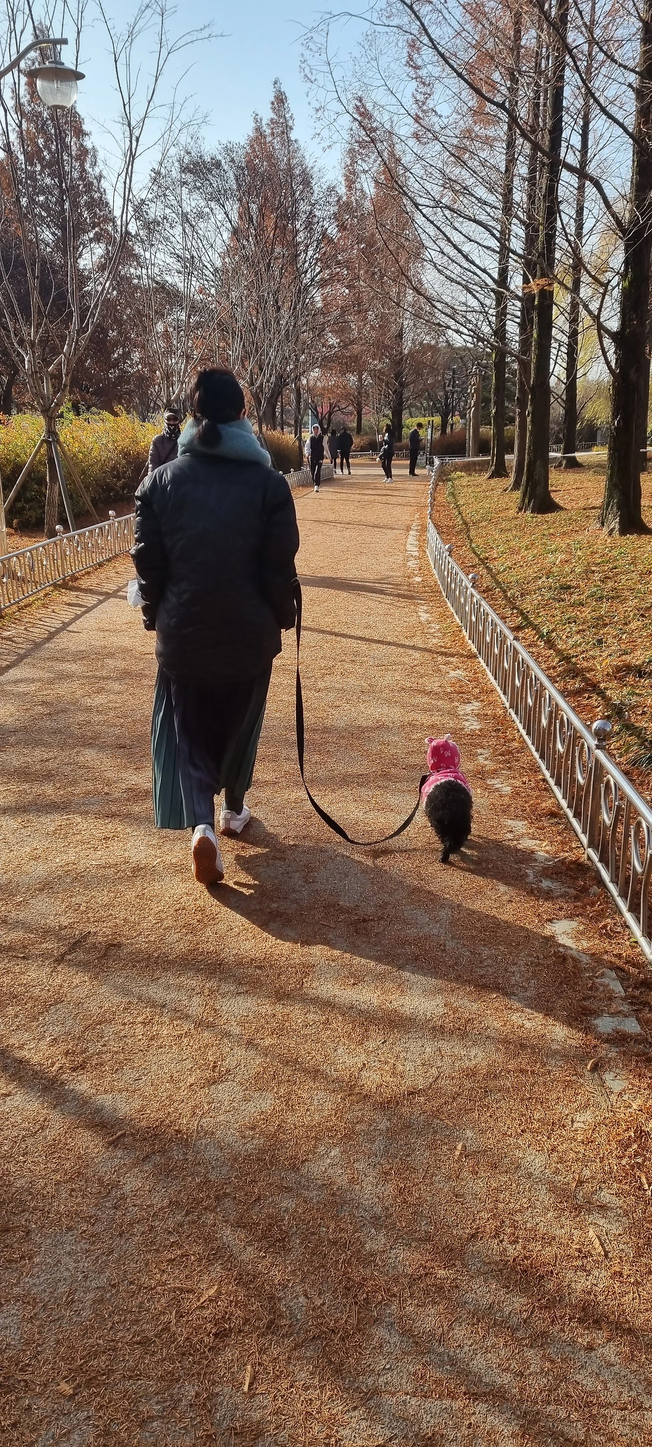 가을이 간다