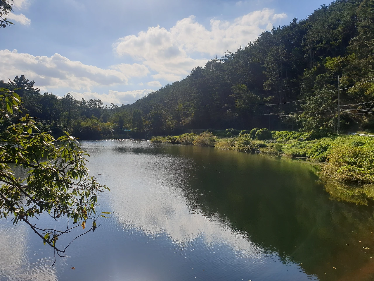 01화 산책길, 벼룩의 높이뛰기