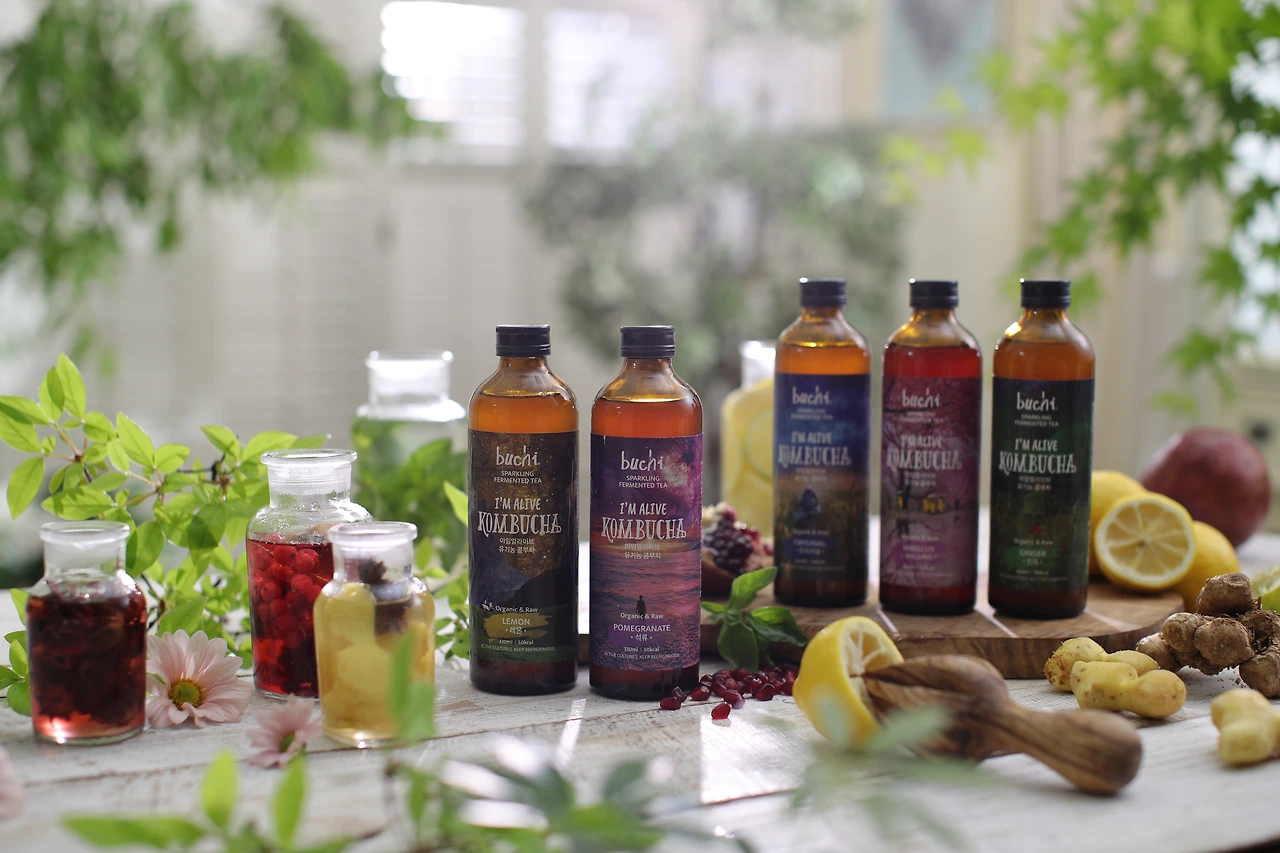 KOMBUCHA 콤부차 트렌드