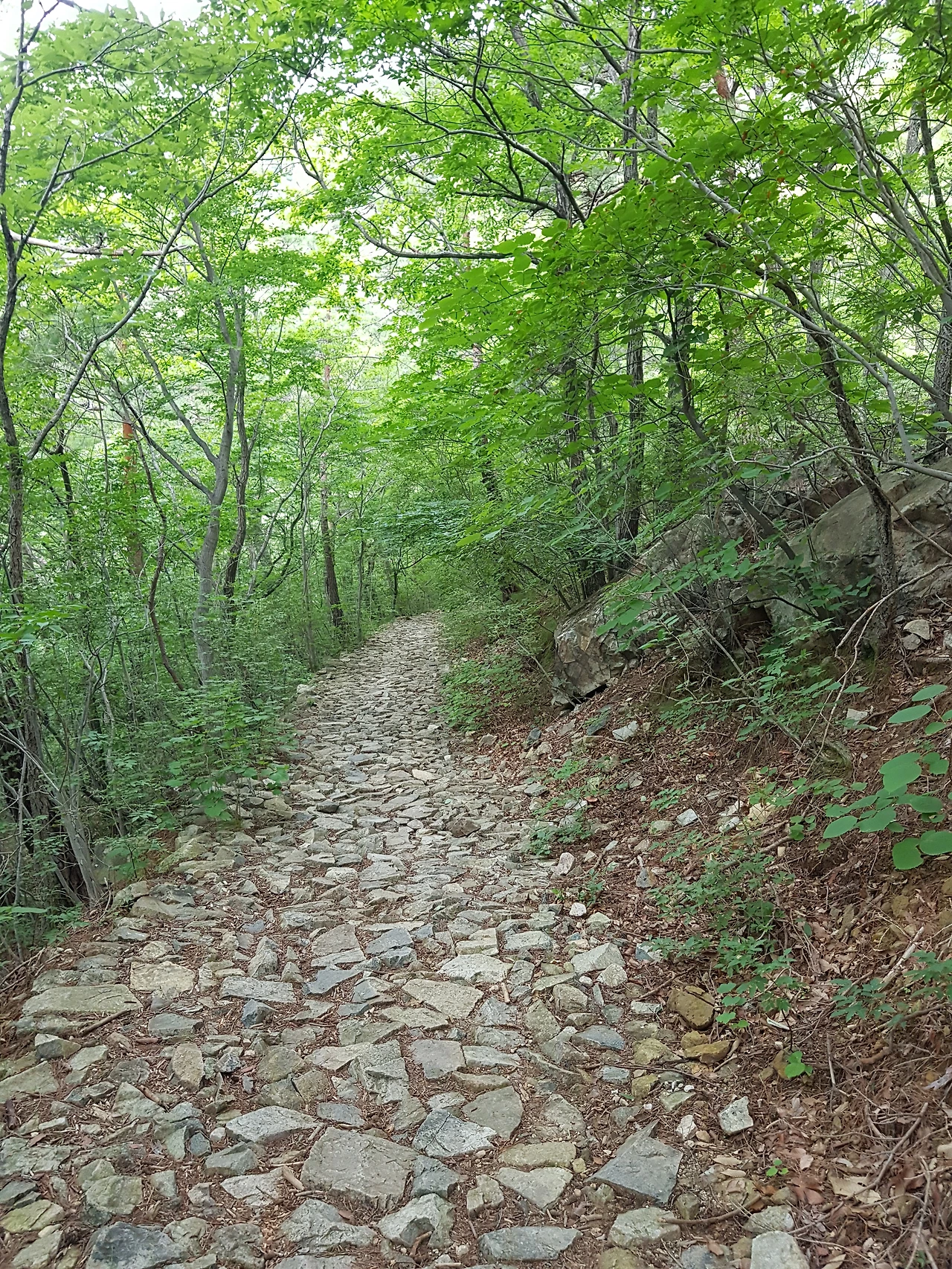 처음, 홀로 산속을 걷다