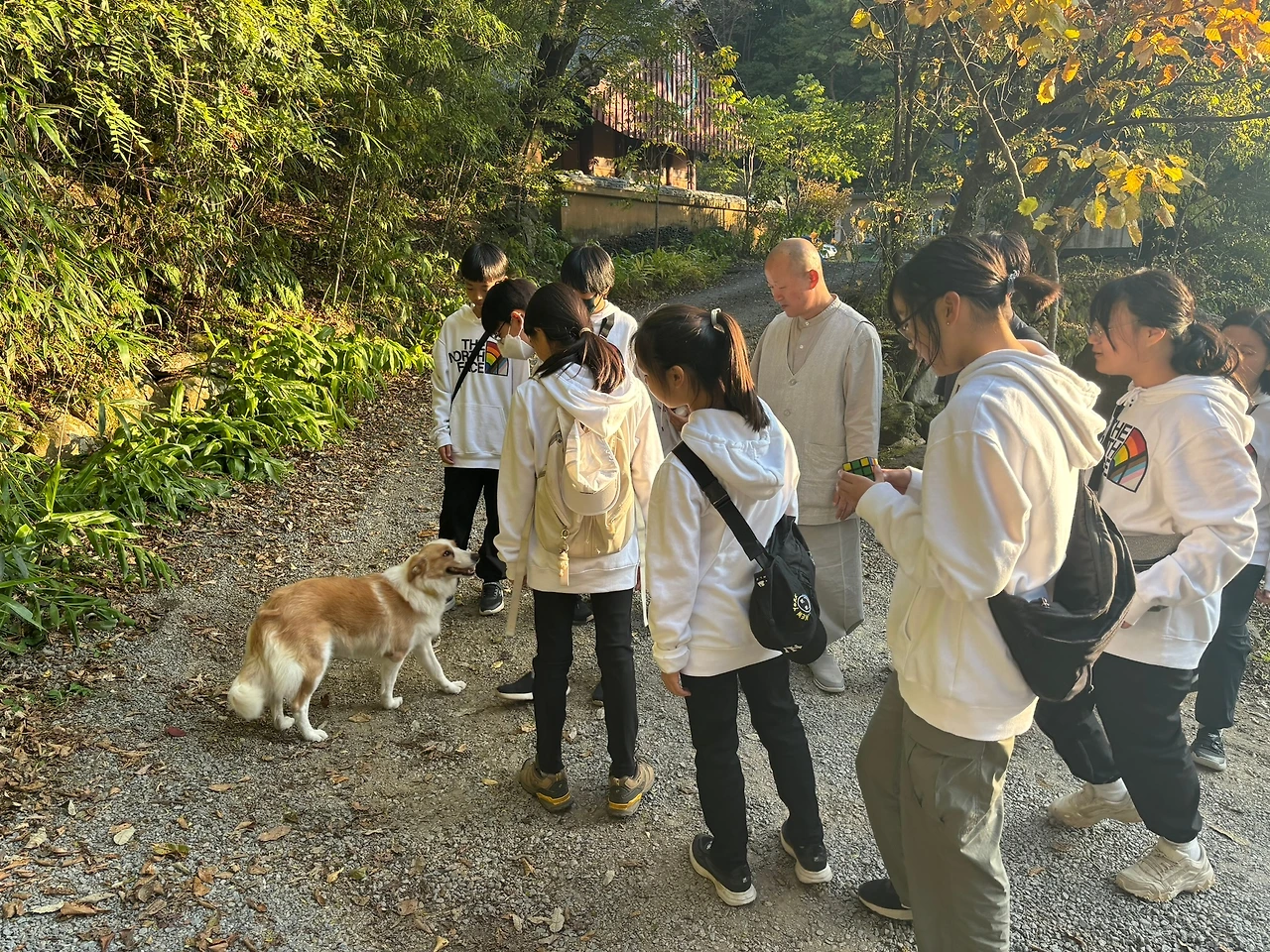 아이들과 삼십킬로미터 함께 걷기