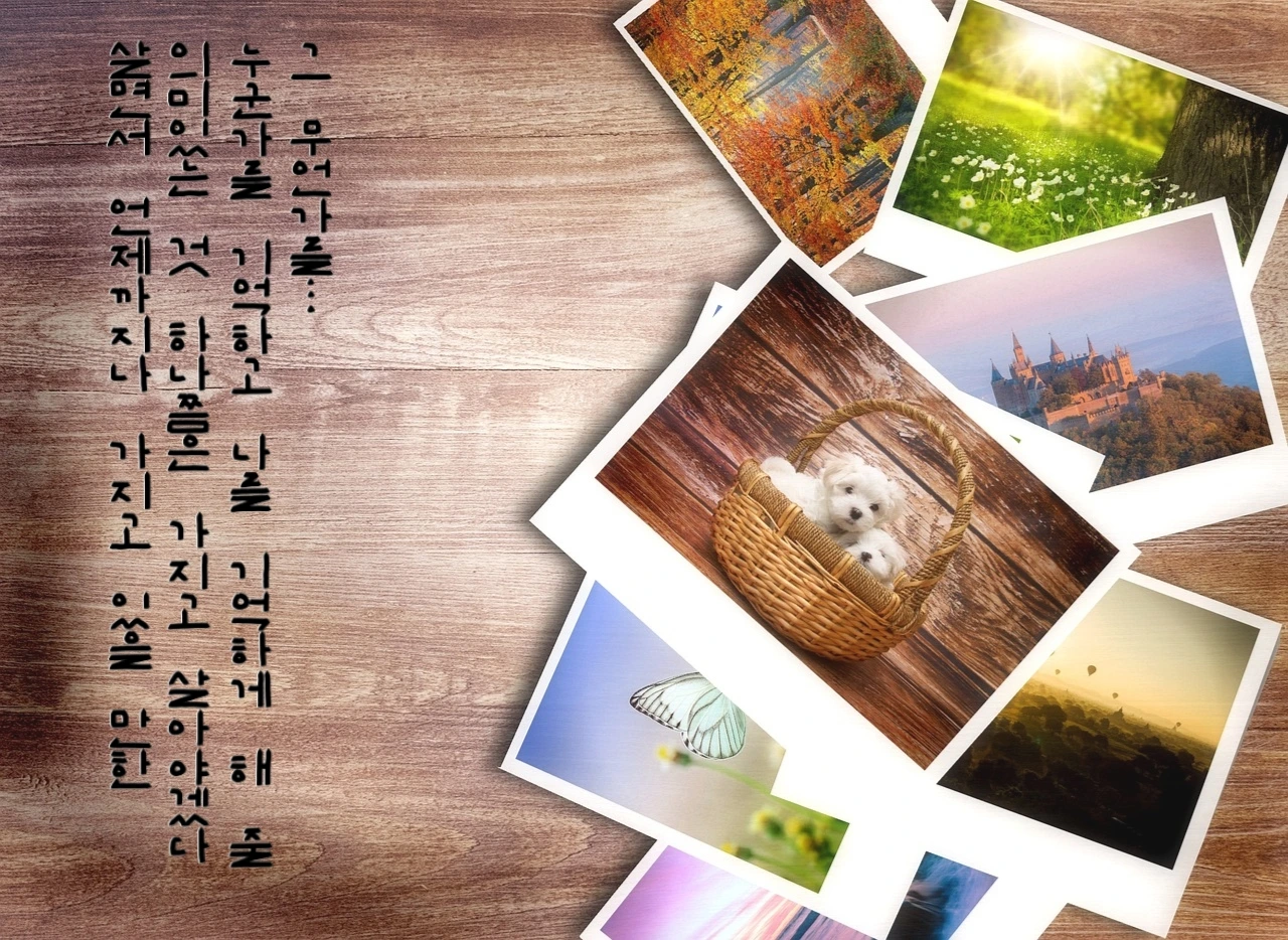 기억, 추억...